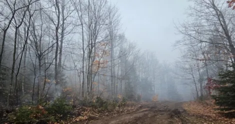 Efforts to contain two wildfires in the Upper Peninsula continue